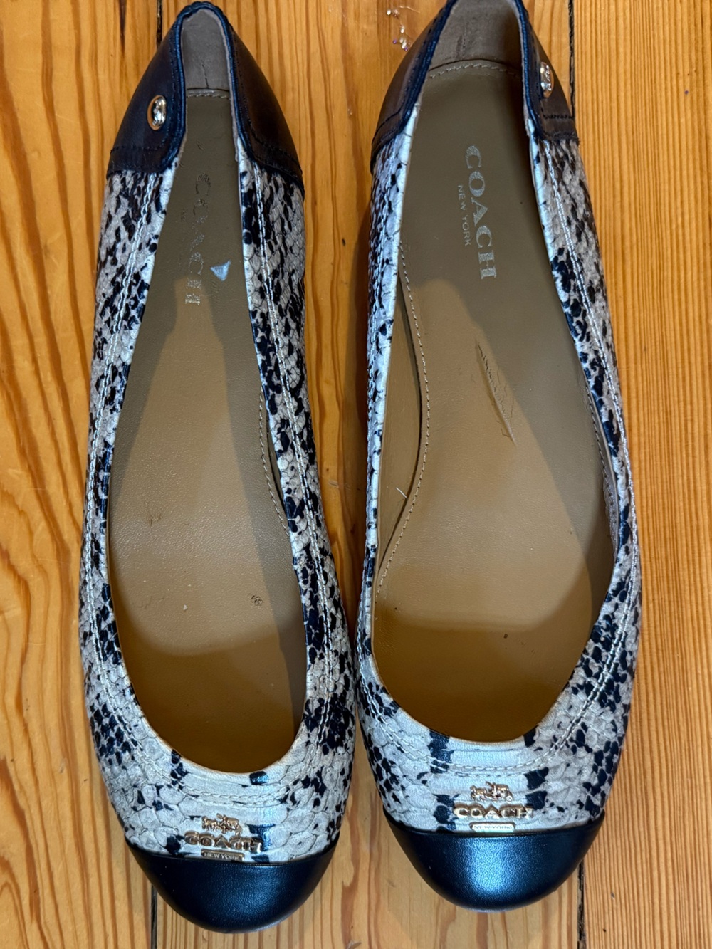 Coach Black and White Snake-Print Cap-Toe Flats
